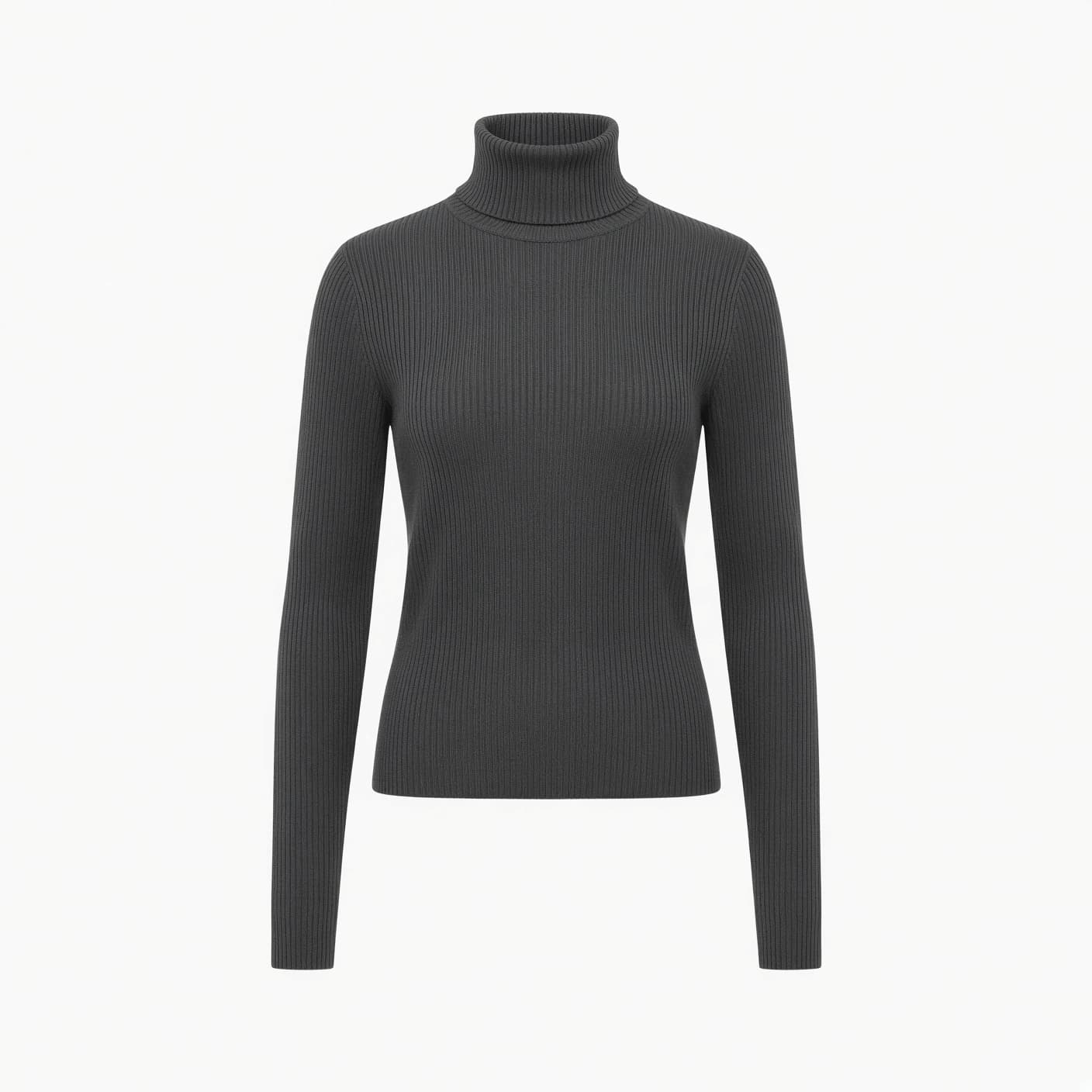 Vega Ribbed Turtleneck